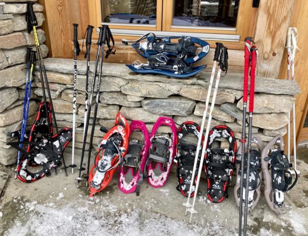 Snowshoes available